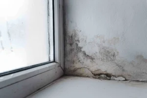 A window pain with damp and mould issues due to poor ventilation